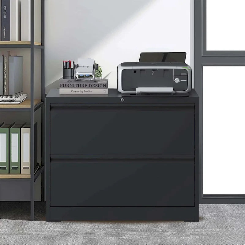 Two-Drawer Filing Cabinet for Home Office Storage